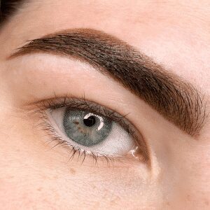 extension lounge brow model picture